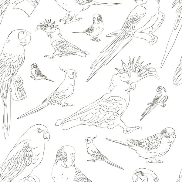 Parrots set pattern