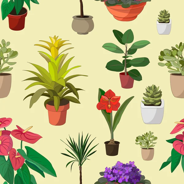 Houseplants conjunto padrão —  Vetores de Stock