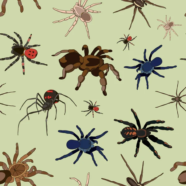 Spiders vector set pattern — Stock Vector