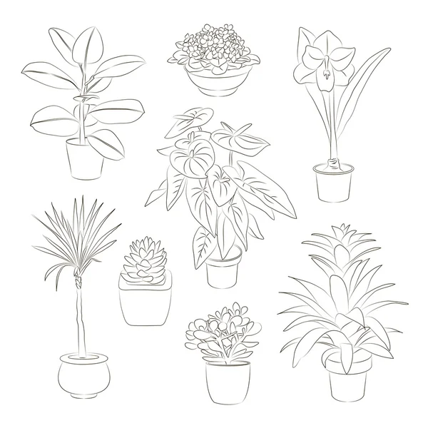 Set piante domestiche — Vettoriale Stock