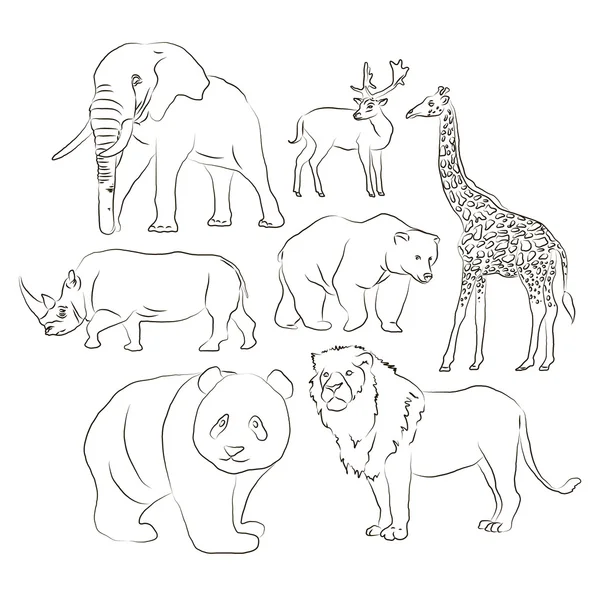 Wild animals set — Stockový vektor