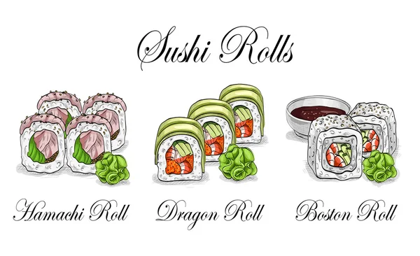 Vektor sushi warna sketsa, ditata - Stok Vektor