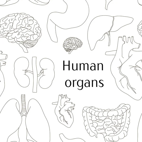 Différents organes humains ensemble modèle — Image vectorielle