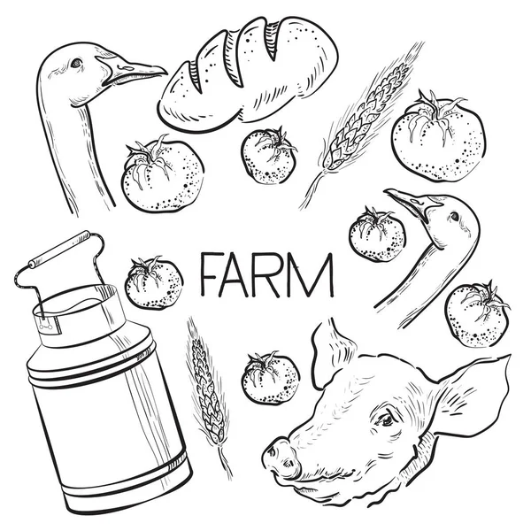 Farm collection - hand drawn set — Stock Vector