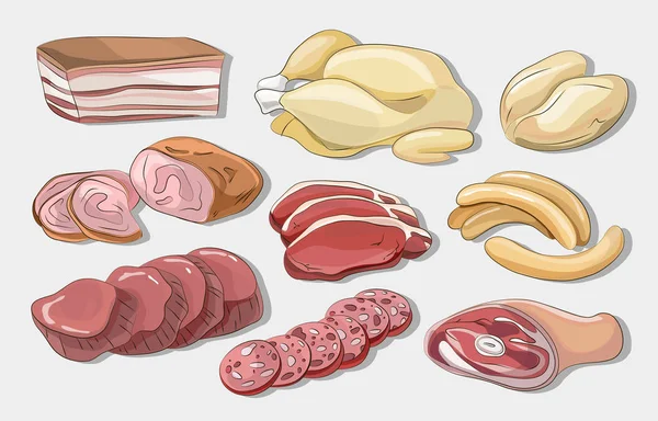 Different kinds of meat collection — Stock Vector