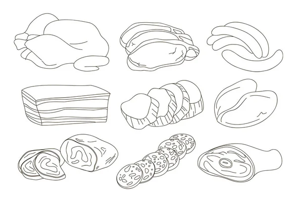Olika sorters kött samling — Stock vektor