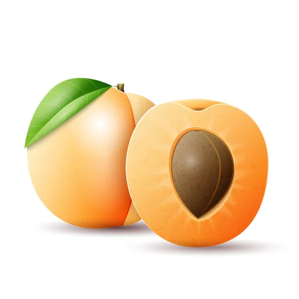 Abricot entier et demi-abricot — Image vectorielle