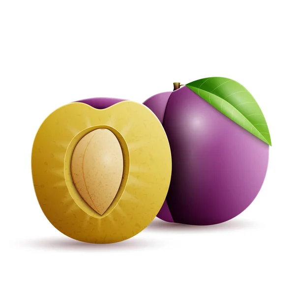 Prune entière et demi-prune — Image vectorielle