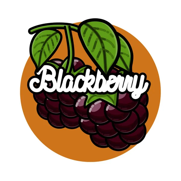 Color emblema de fruta vintage — Vector de stock