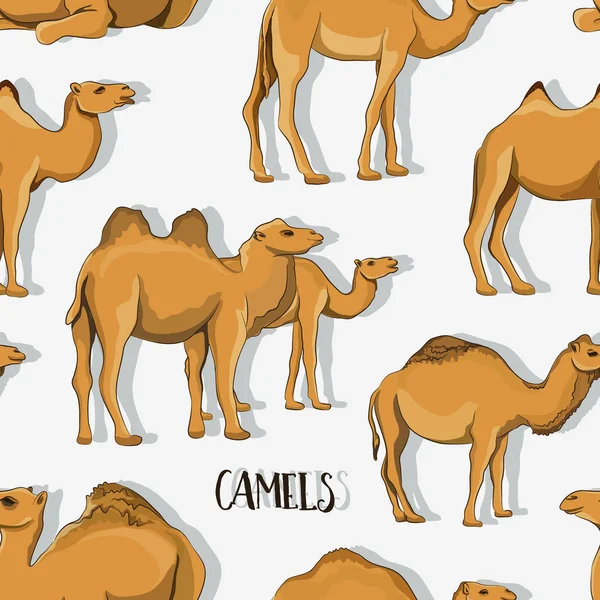 Camel Silhouettes set pattern — Stock Vector