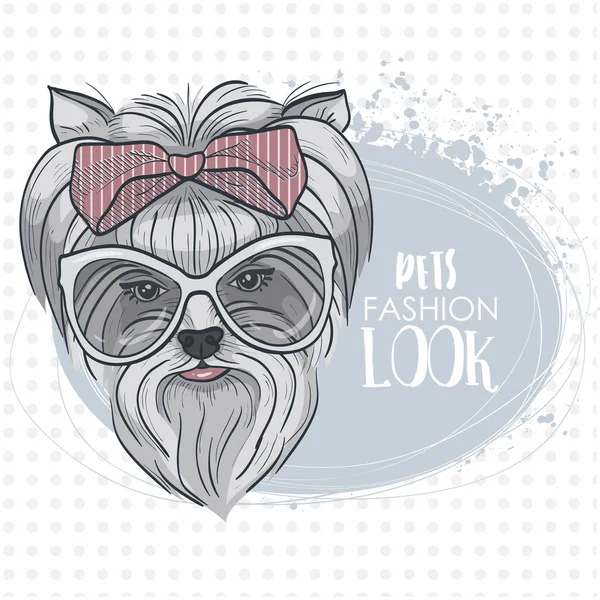 Vector mascotas look de moda — Vector de stock