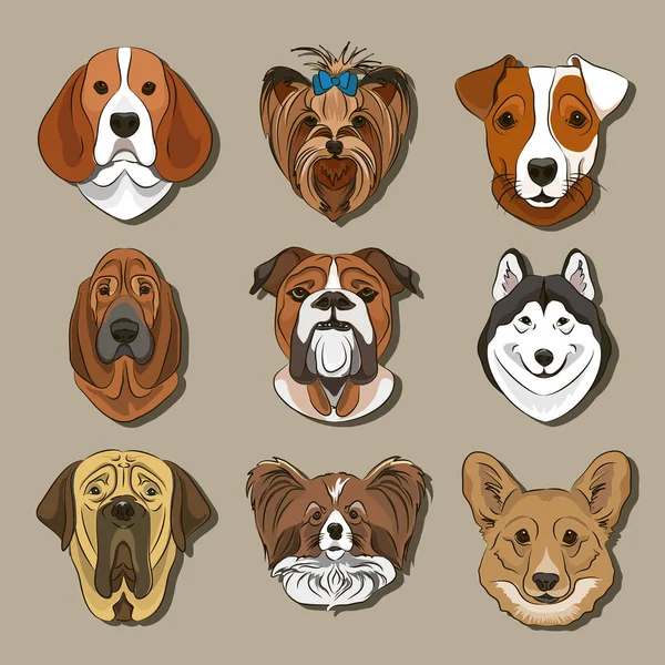 Vector illustration of different dogs breed — Stock Vector