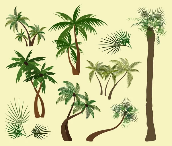 Palmen bomen collectie — Stockvector