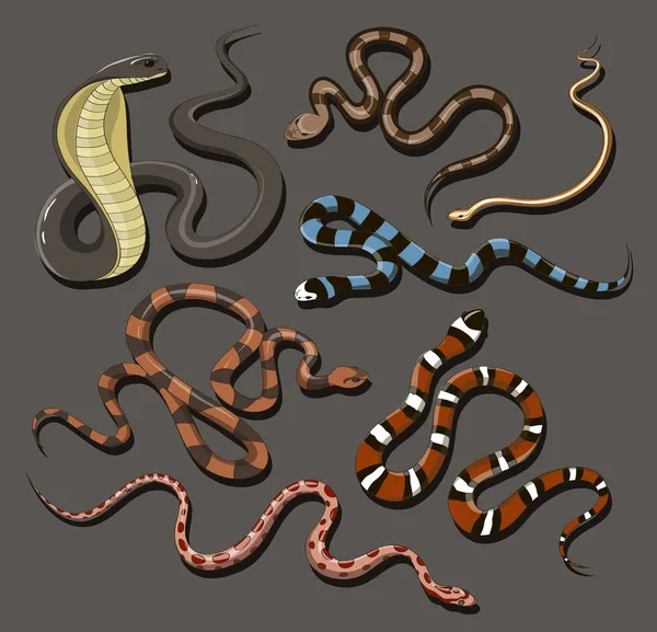 Set di serpenti disegnati a mano — Vettoriale Stock