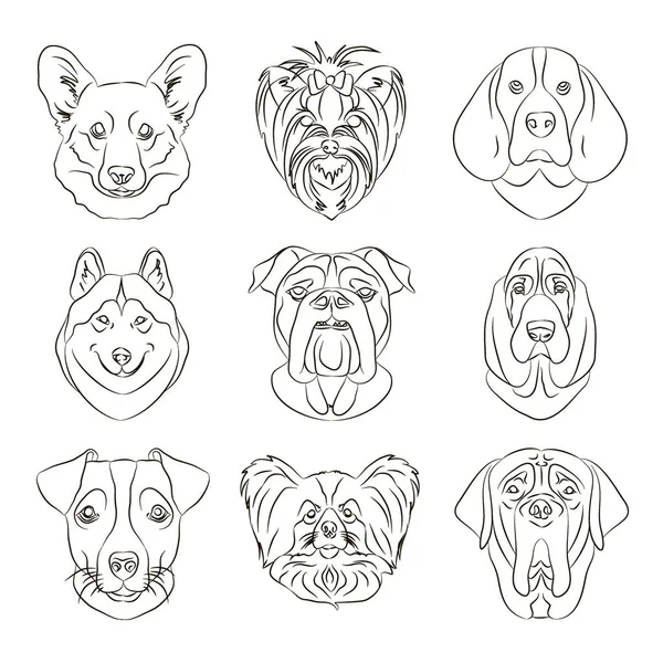 Ilustración vectorial de diferentes razas de perros — Archivo Imágenes Vectoriales