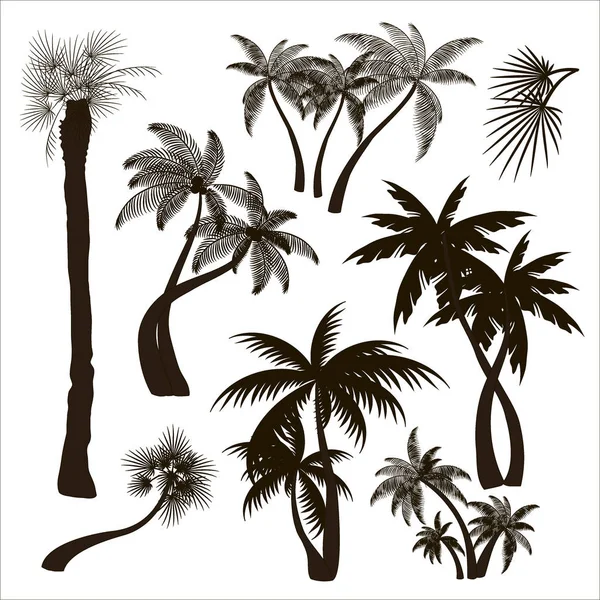 Palmen bomen collectie — Stockvector