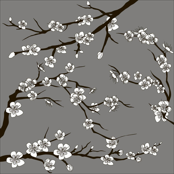 Set of sakura japan cherry