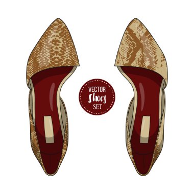 Vektör renk Bayan sürüngen deri sivri ayak bale düz. Moda stil.