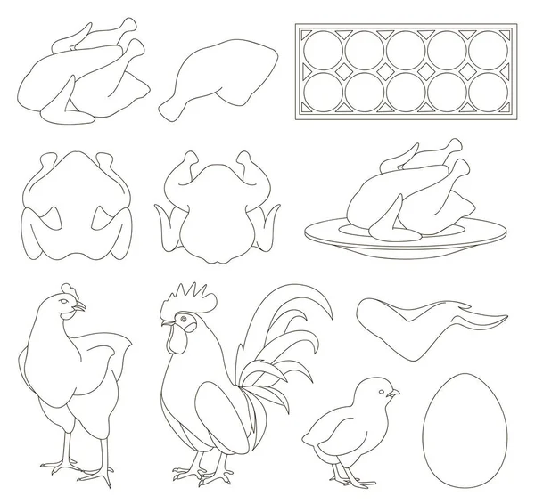 Conjunto Iconos Pollo Ilustración Vectorial Eps — Vector de stock