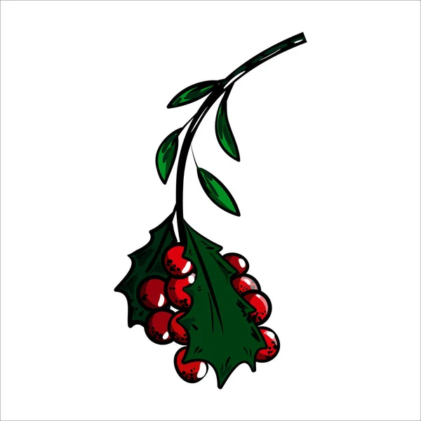 Color Sketch Holly Branch Red Berries Christmas Theme Vector Illustration — Stock Vector