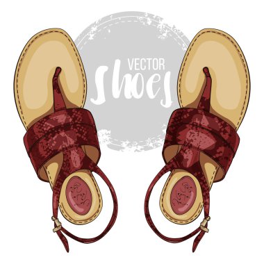 Vektör renk Bayan sürüngen deri t-kayış sandalet