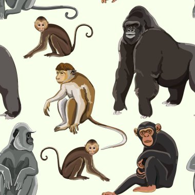 Maymunlar desen farklı türleri