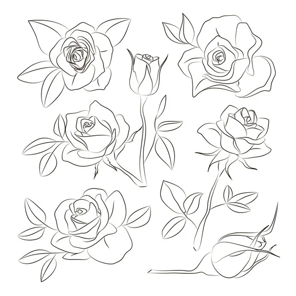 Rose instellen pictogrammen — Stockvector