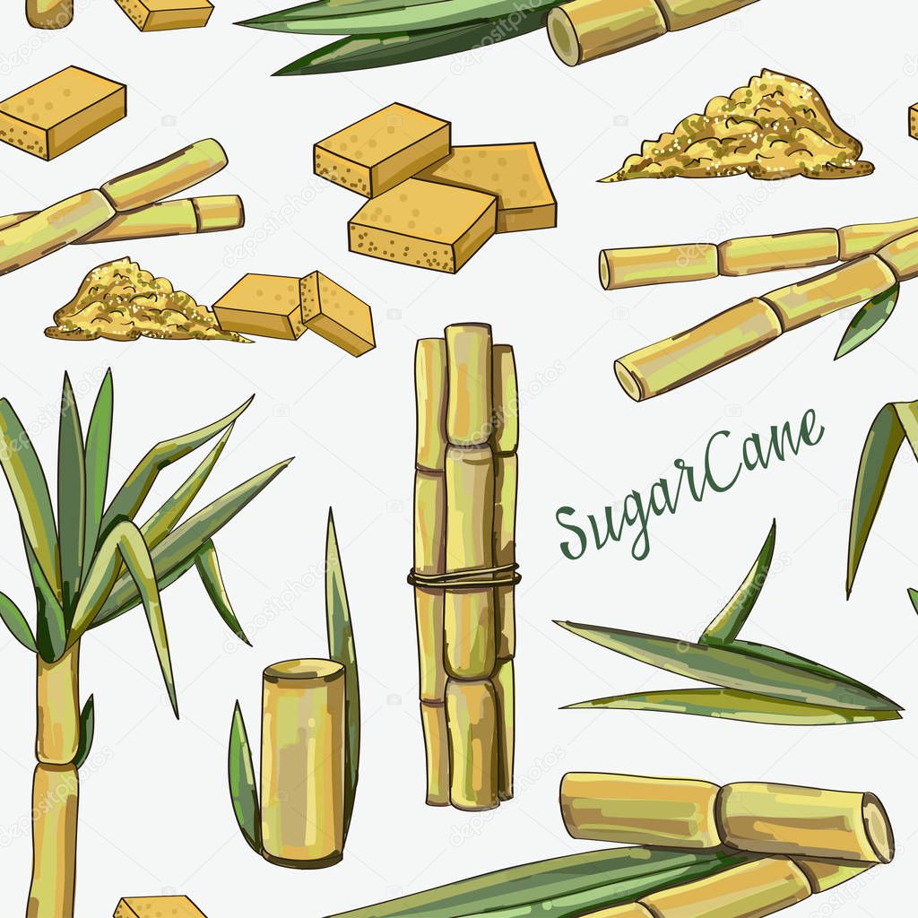 Sugar cane icons pattern