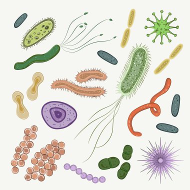 Bakteri, virüs, mikrop Icon set