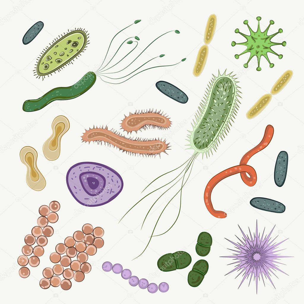 Bacteria, virus, germs icon set