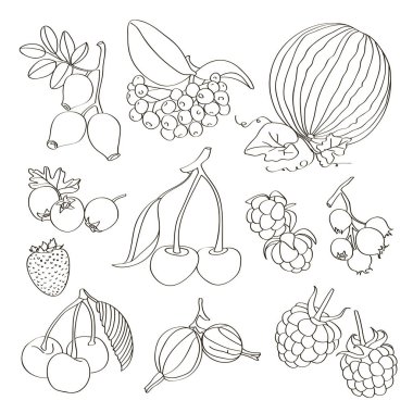 farklı meyveler kümesi