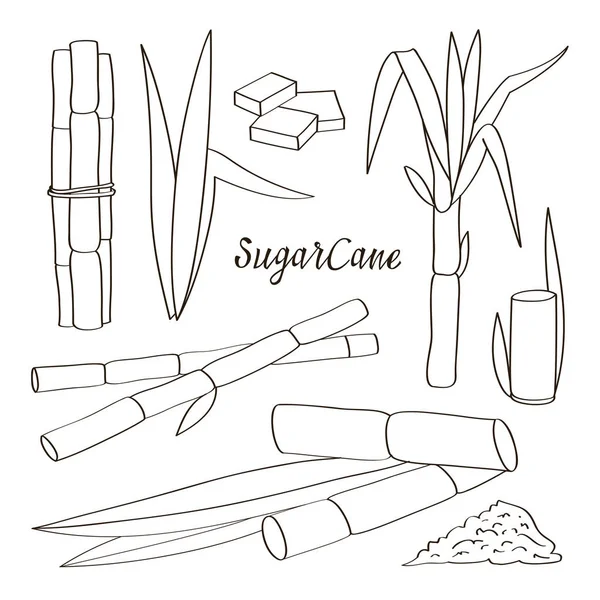 Sugar cane icons — Stock Illustration Sugar cane icons Vector Graphics