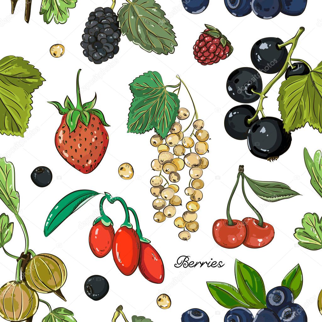 Berries color set pattern. Excellent Vector illustration, EPS 10
