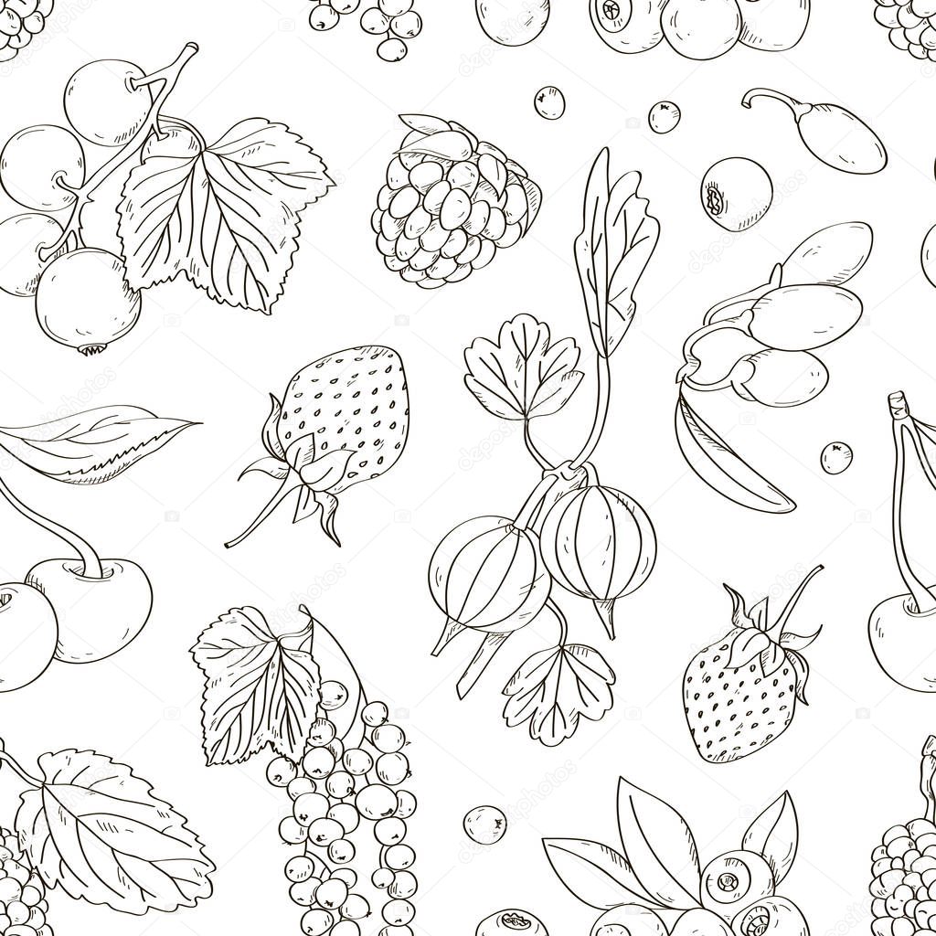 Berries set pattern. Excellent Vector illustration, EPS 10