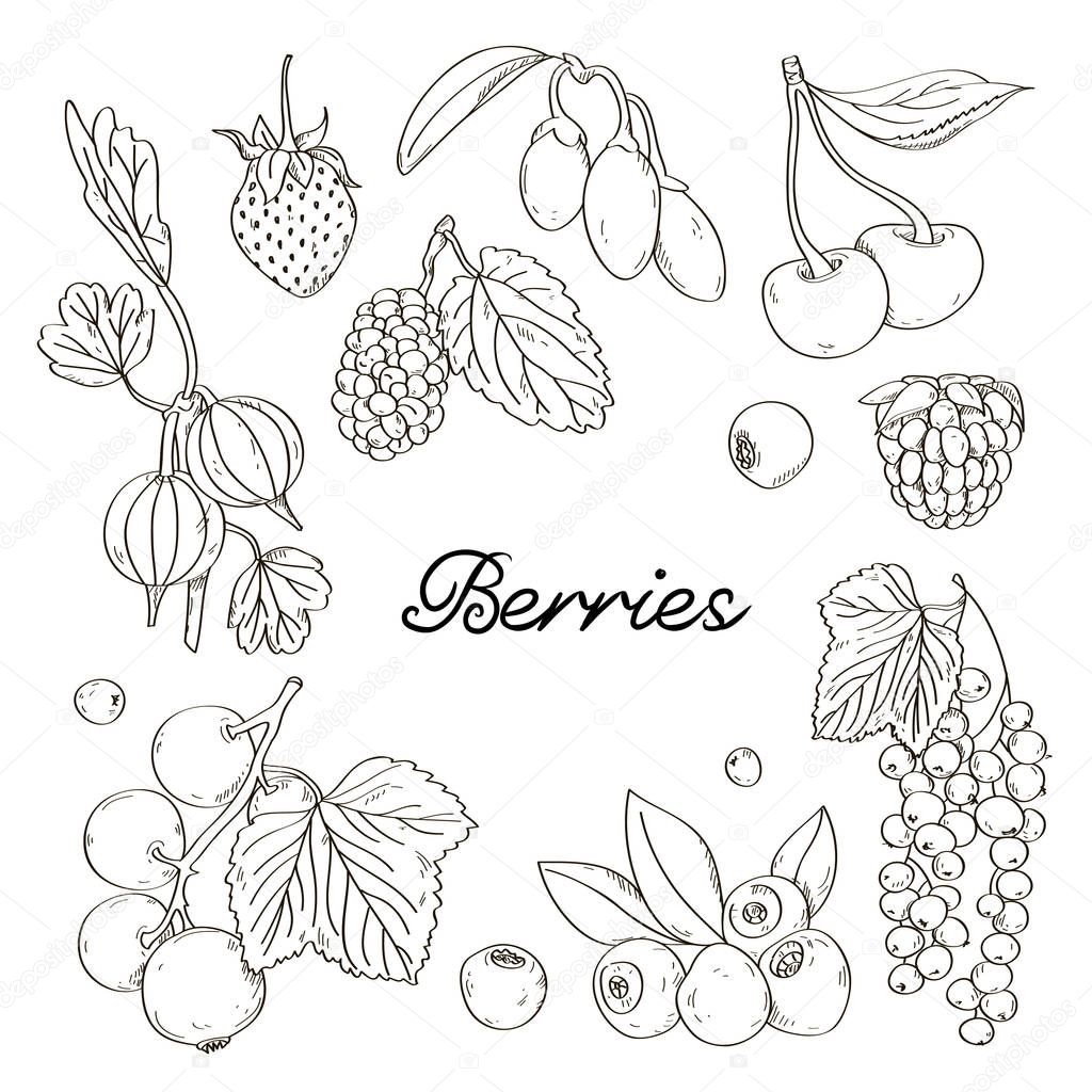 Berries icons set. Excellent Vector illustration, EPS 10