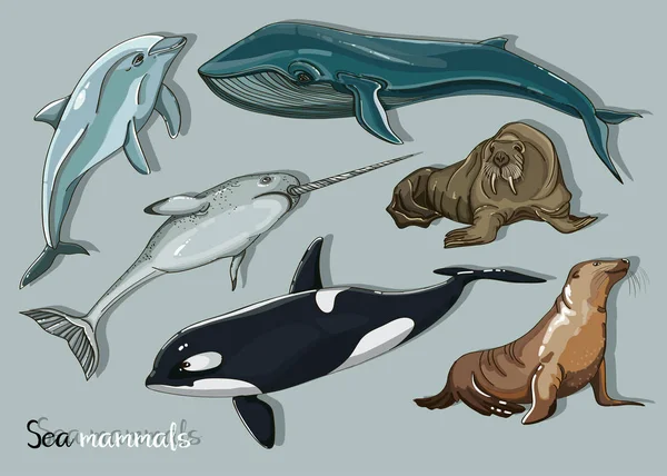 Ensemble d'icônes de collection d'animaux mammifères marins — Image vectorielle