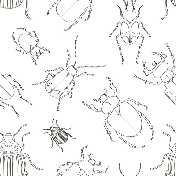 Conjunto de padrão de ilustrações de besouro — Vetor de Stock