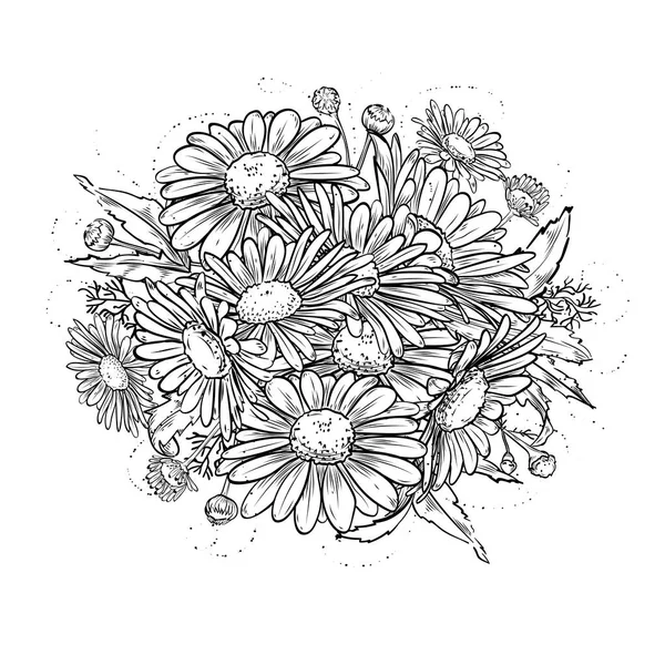 カモミールの花を持つヴィンテージのテンプレート — ストックベクタ