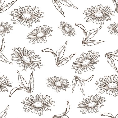 Vektör papatya seamless modeli