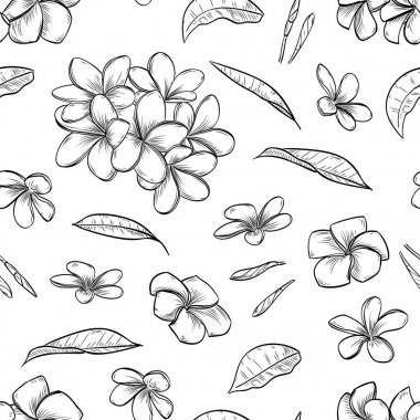 Vektör seamless modeli plumeria çiçek