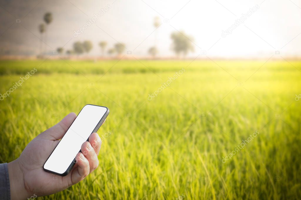Smart technology with Internet of things (IoT) futuristic agriculture concept : business man use smart phone analysis report all situation with one finger click on digital holographic screen, clipping path