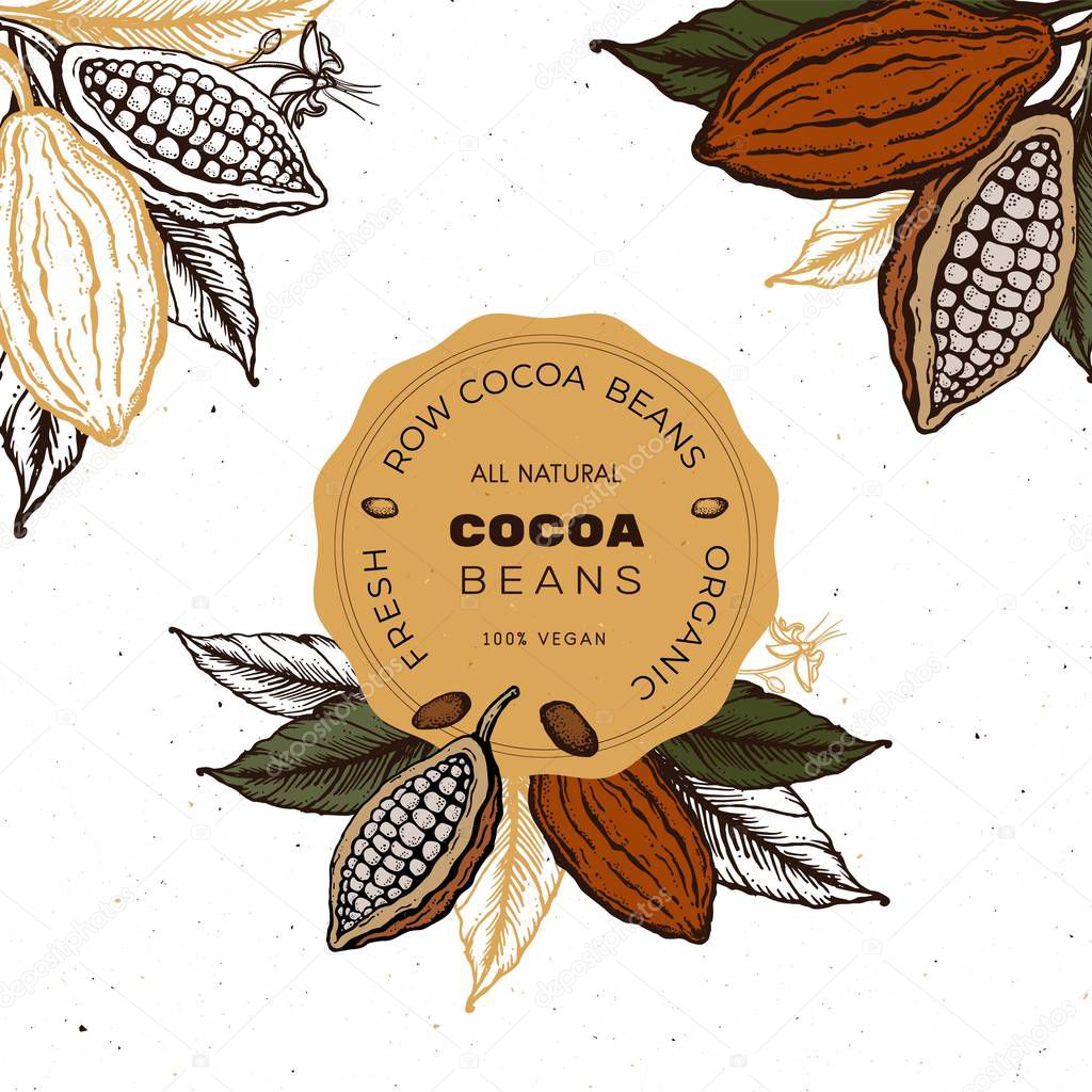 Cocoa beans Hand drawn vintage sketch illustration label