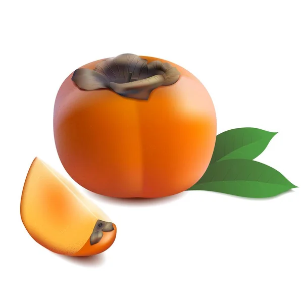 Ganze und halbierte japanische reife Orangenpersimmons — Stockvektor