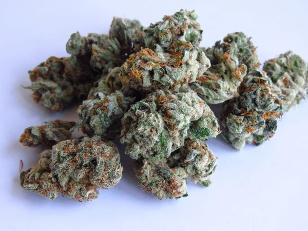 Closeup Medical Cannabis Buds Marijuana Buds Isolated White Background — 스톡 사진