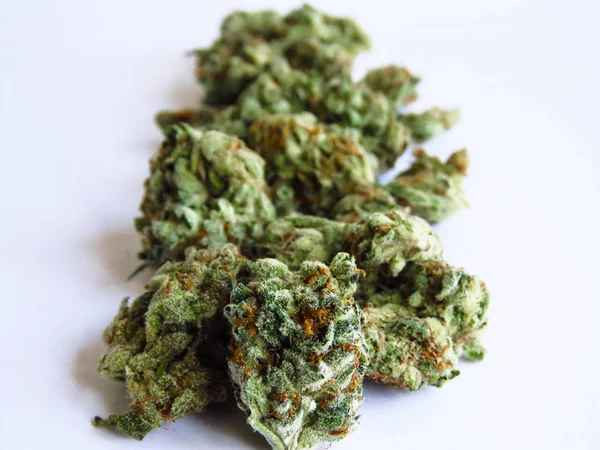 Close Van Medicinale Cannabisknoppen Marihuana Knoppen Geïsoleerd Witte Achtergrond Stockafbeelding