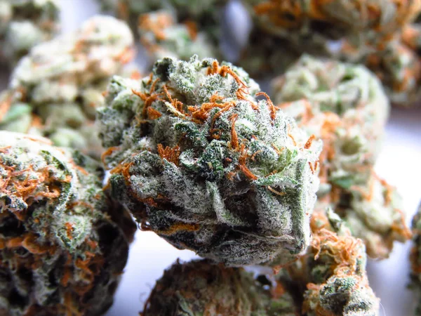 Closeup Medical Cannabis Buds Marijuana Buds Isolated White Background — Stock Photo, Image
