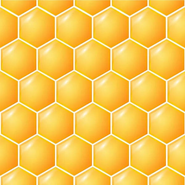 Söt honung bakgrund — Stock vektor