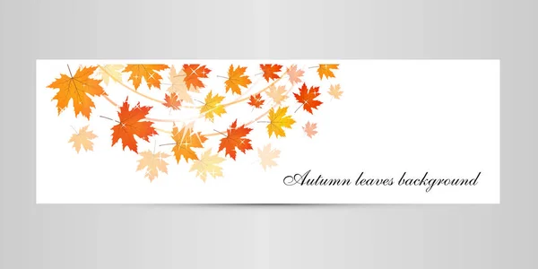 黄金の秋の葉、白背景 — ストックベクタ