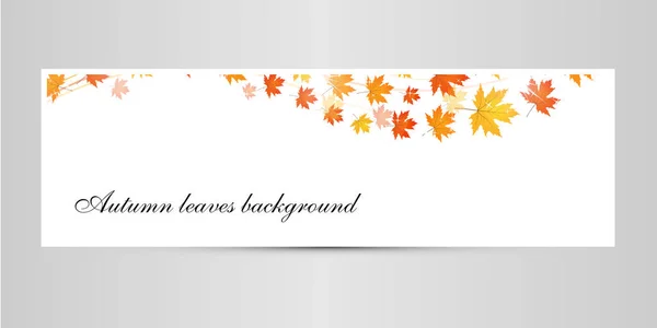 Feuilles dorées d'automne, fond blanc — Image vectorielle