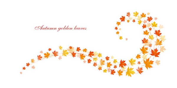 Feuilles dorées d'automne, fond blanc — Image vectorielle